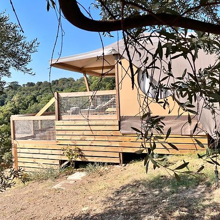 ホテル Glamping - Il Giardino Di San Giorgio "Armida" Montorgiali エクステリア 写真